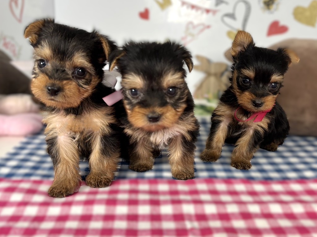 赤ちゃん写真2-3