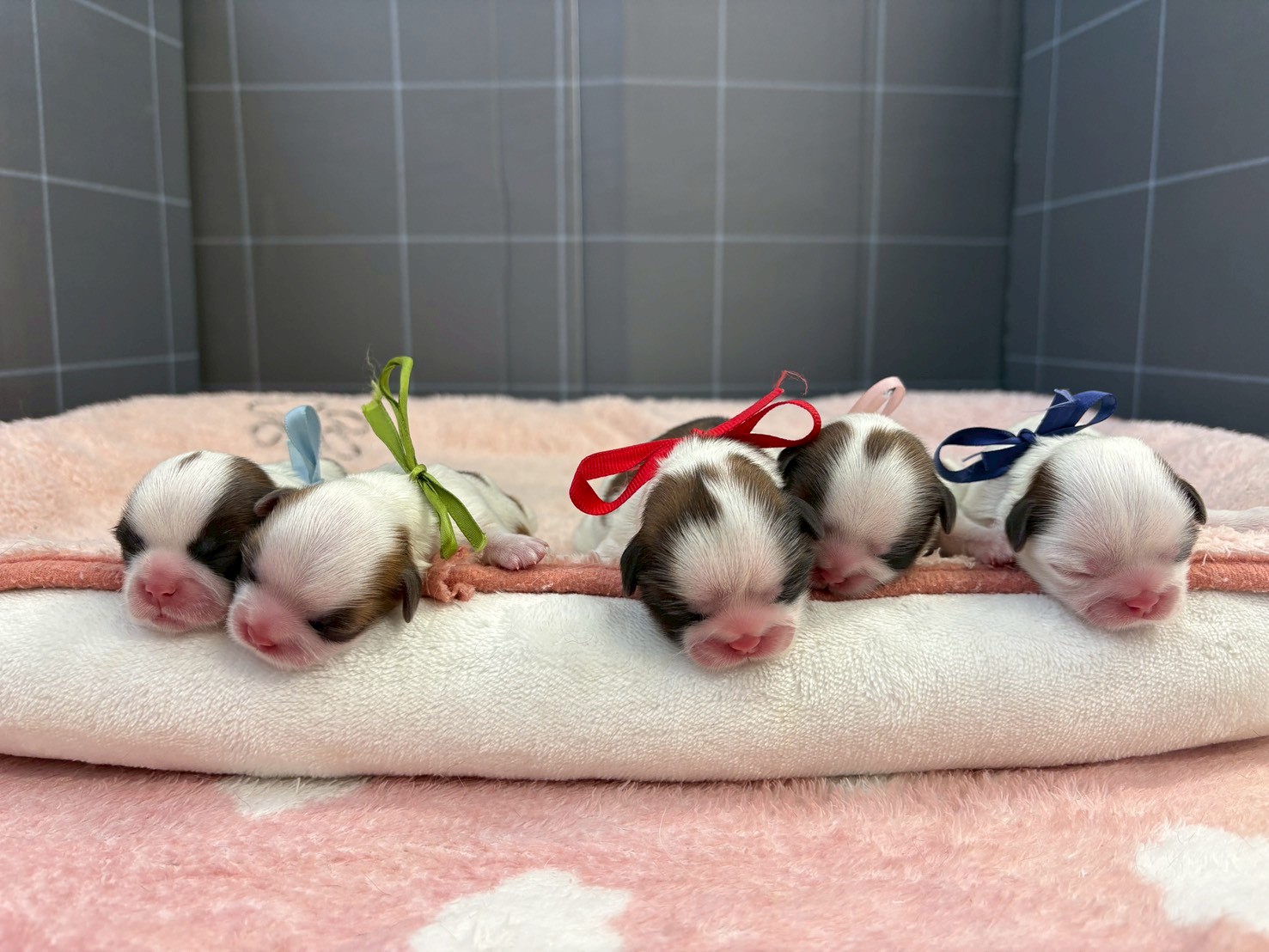 赤ちゃん写真1-3