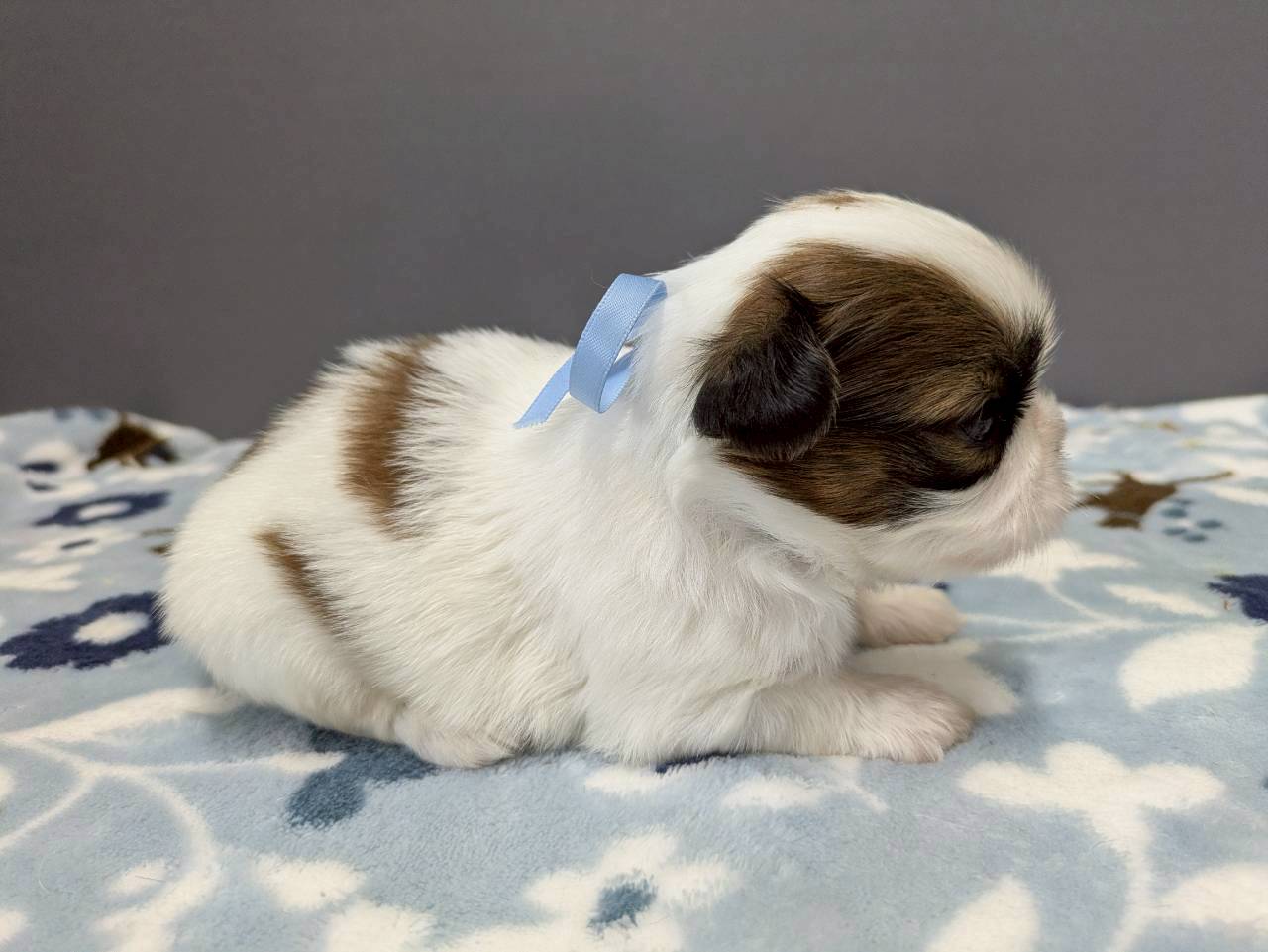 赤ちゃん写真2-2