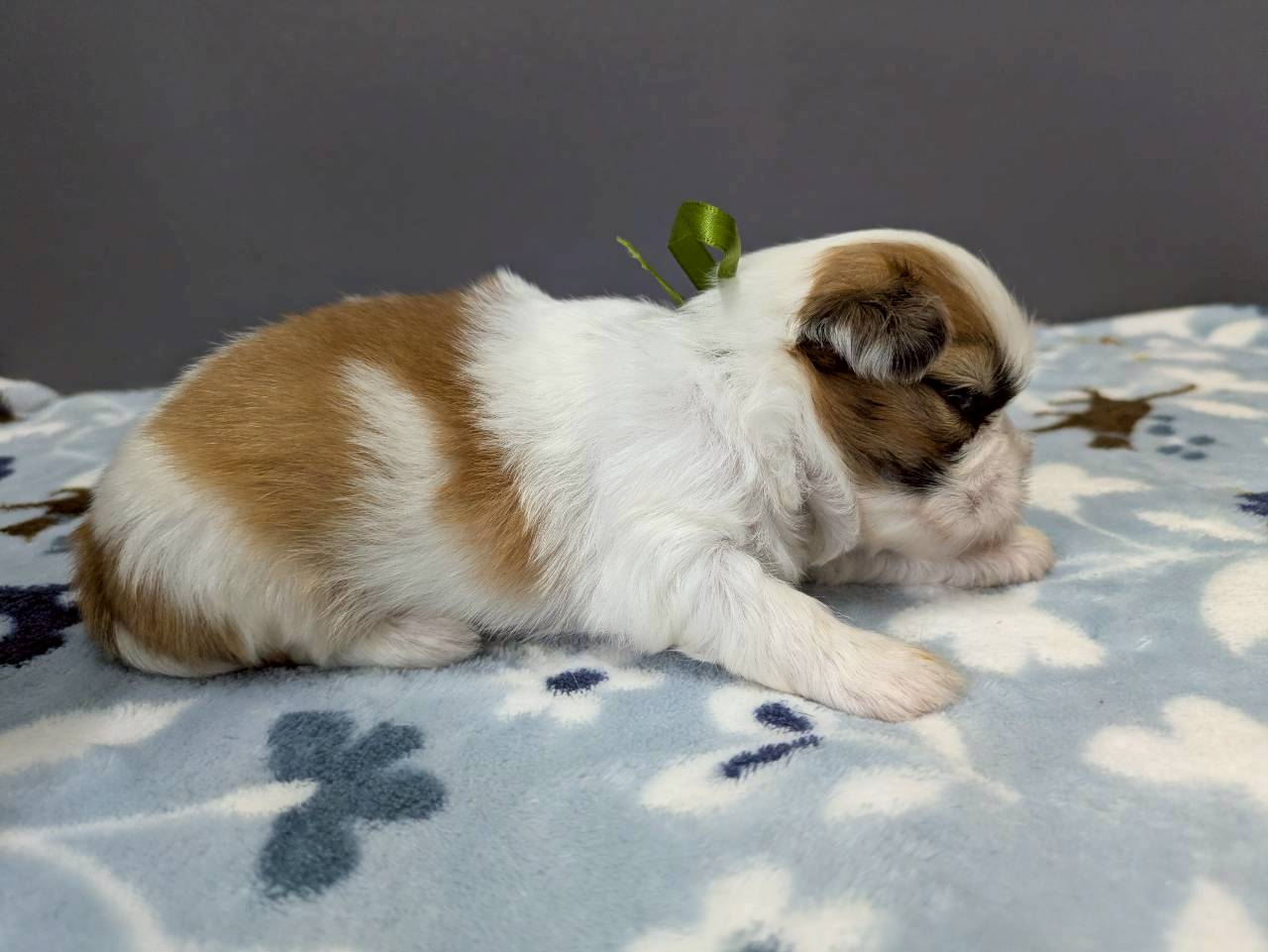 赤ちゃん写真2-2