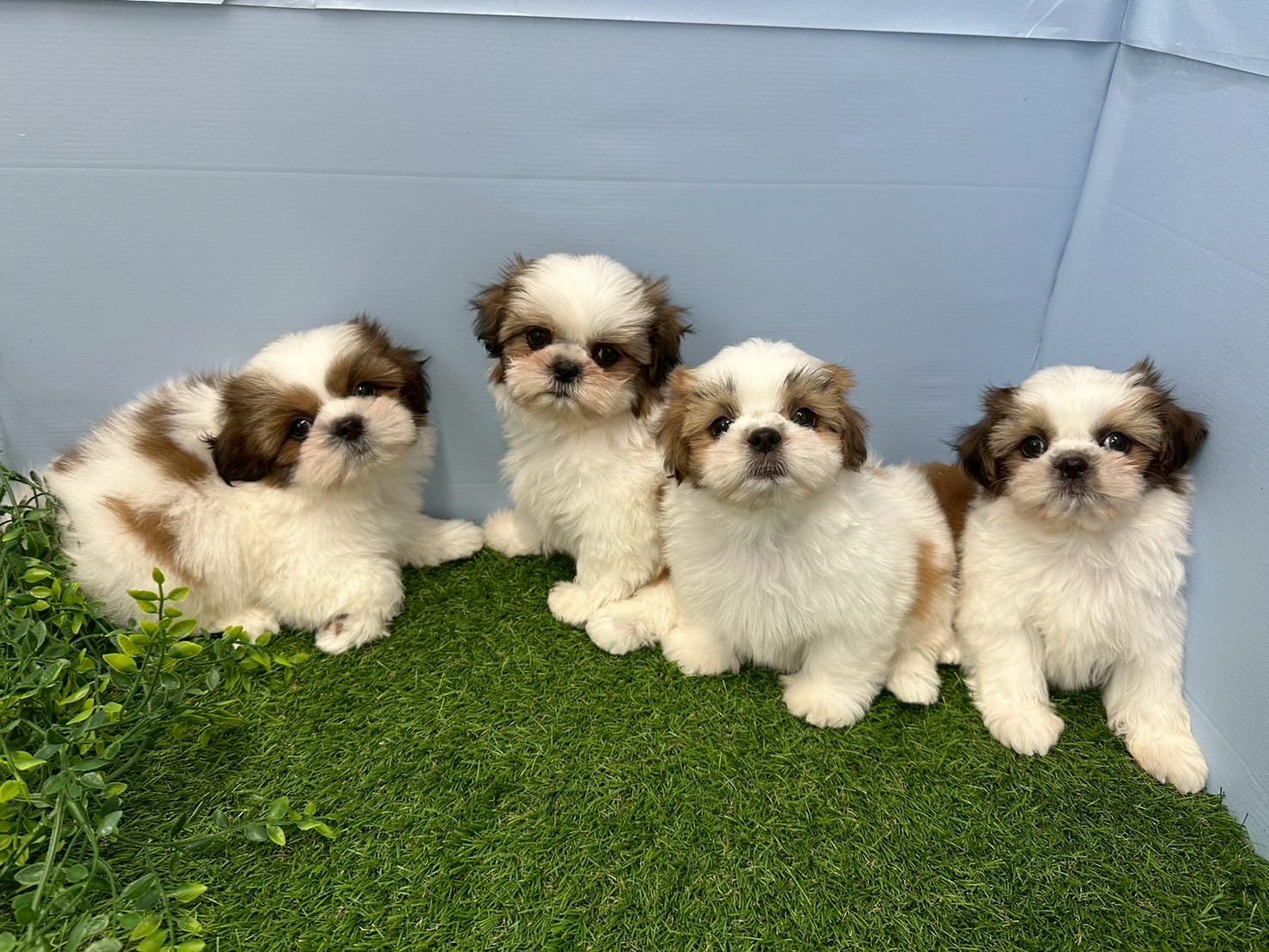 赤ちゃん写真3-3