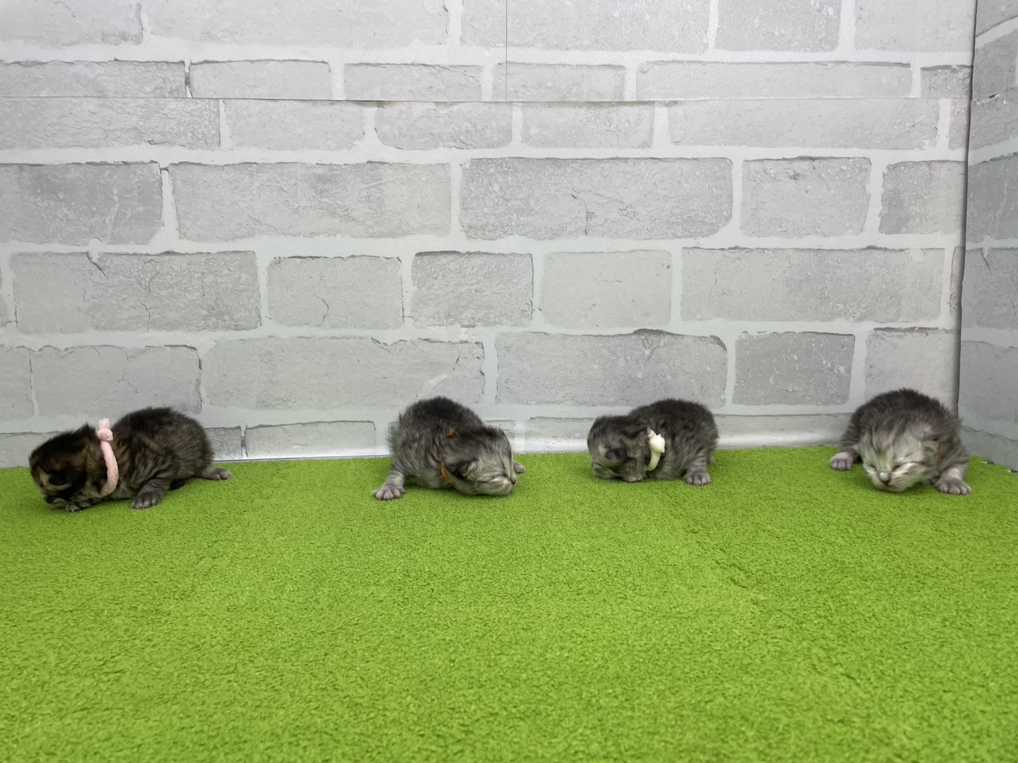 赤ちゃん写真1-3