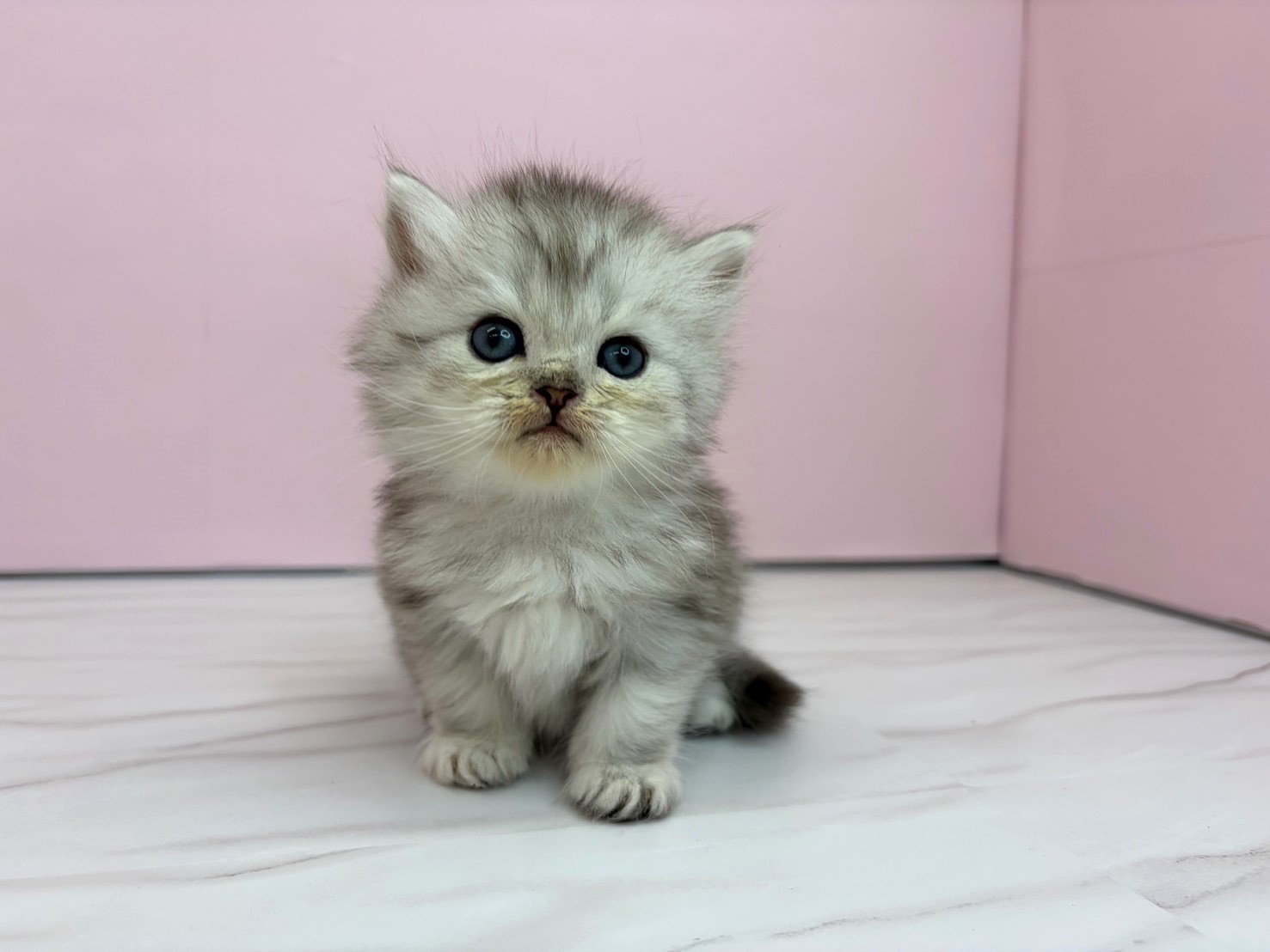 赤ちゃん写真2-1
