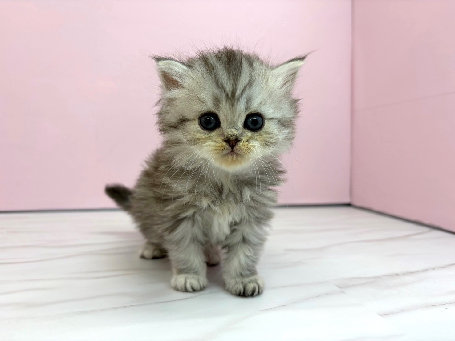 赤ちゃん写真2-1