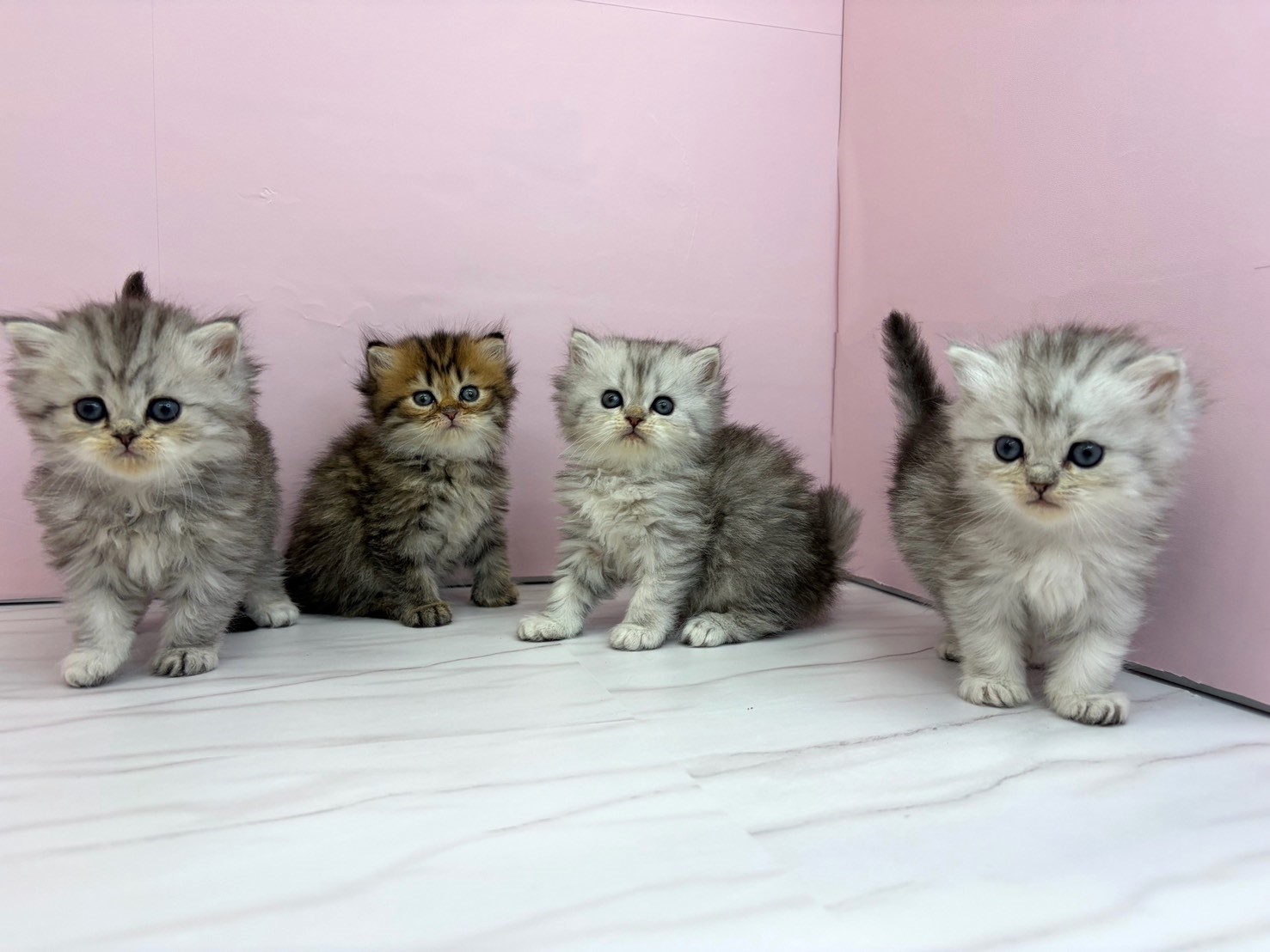 赤ちゃん写真2-3