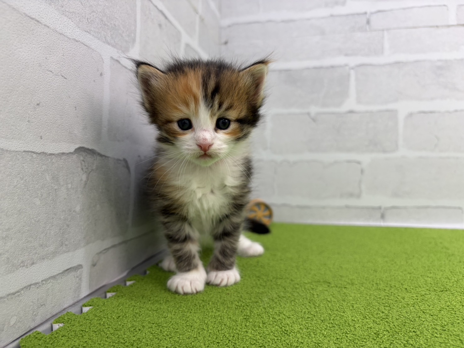 赤ちゃん写真2-1