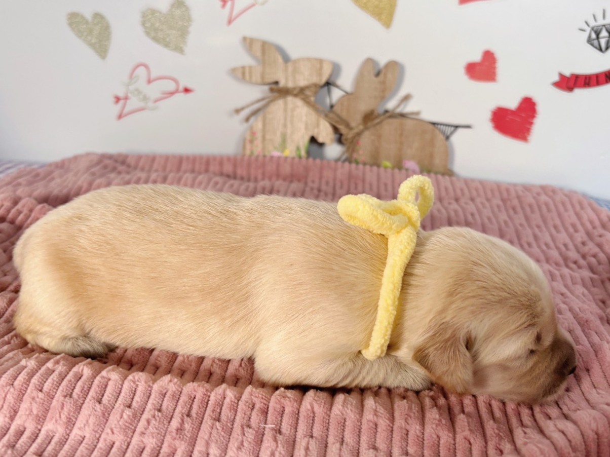 赤ちゃん写真1-2