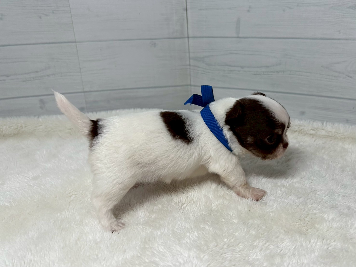 赤ちゃん写真2-2