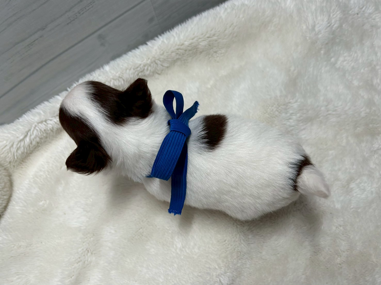 赤ちゃん写真2-3