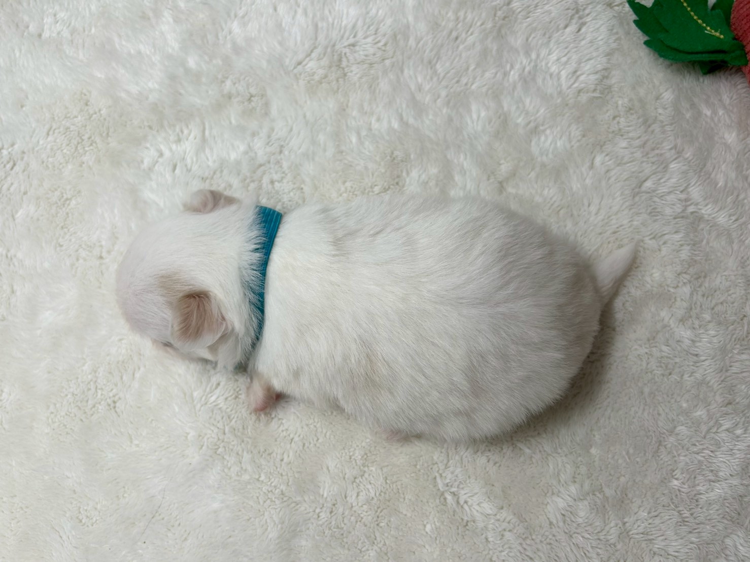 赤ちゃん写真2-3