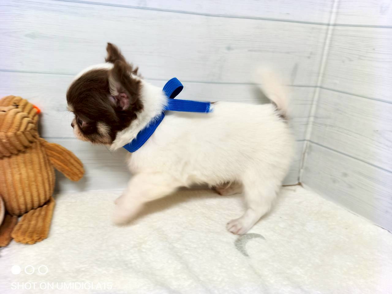 赤ちゃん写真3-2