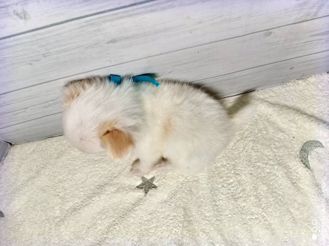赤ちゃん写真3-3