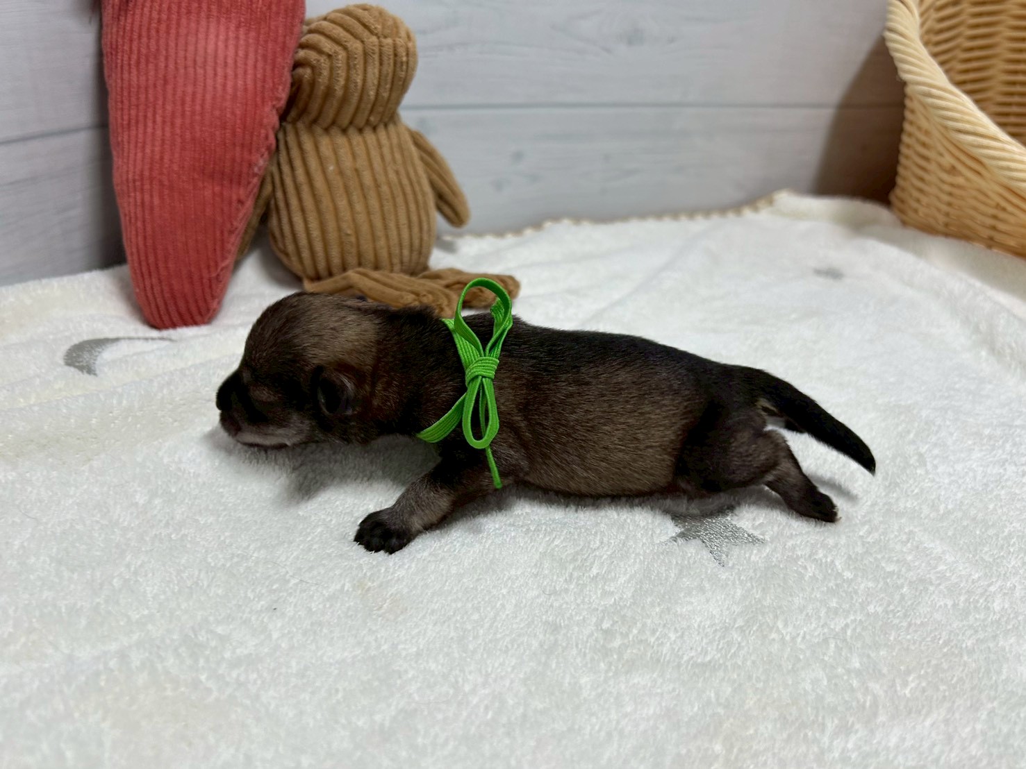 赤ちゃん写真1-2