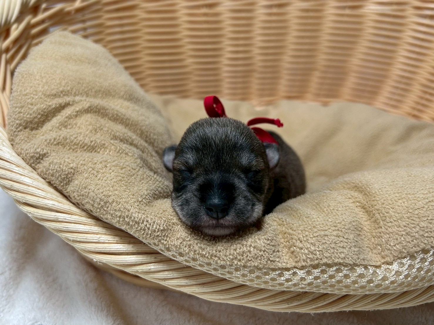 赤ちゃん写真1-1