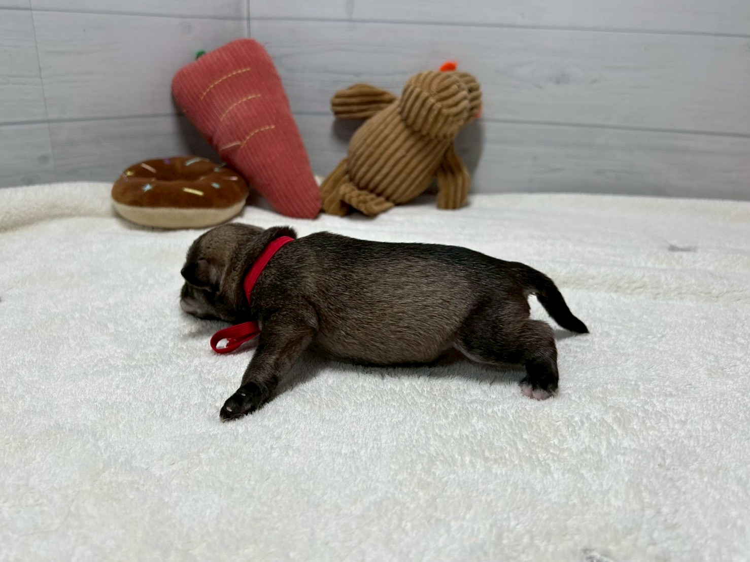 赤ちゃん写真1-2