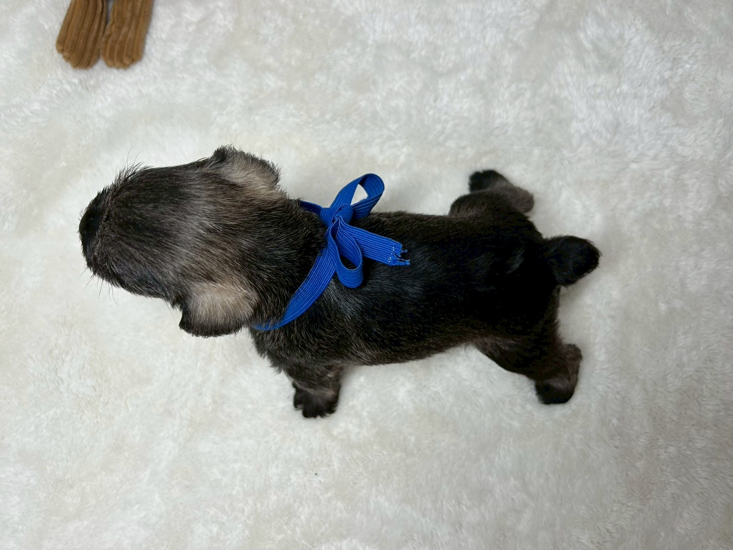 赤ちゃん写真2-3
