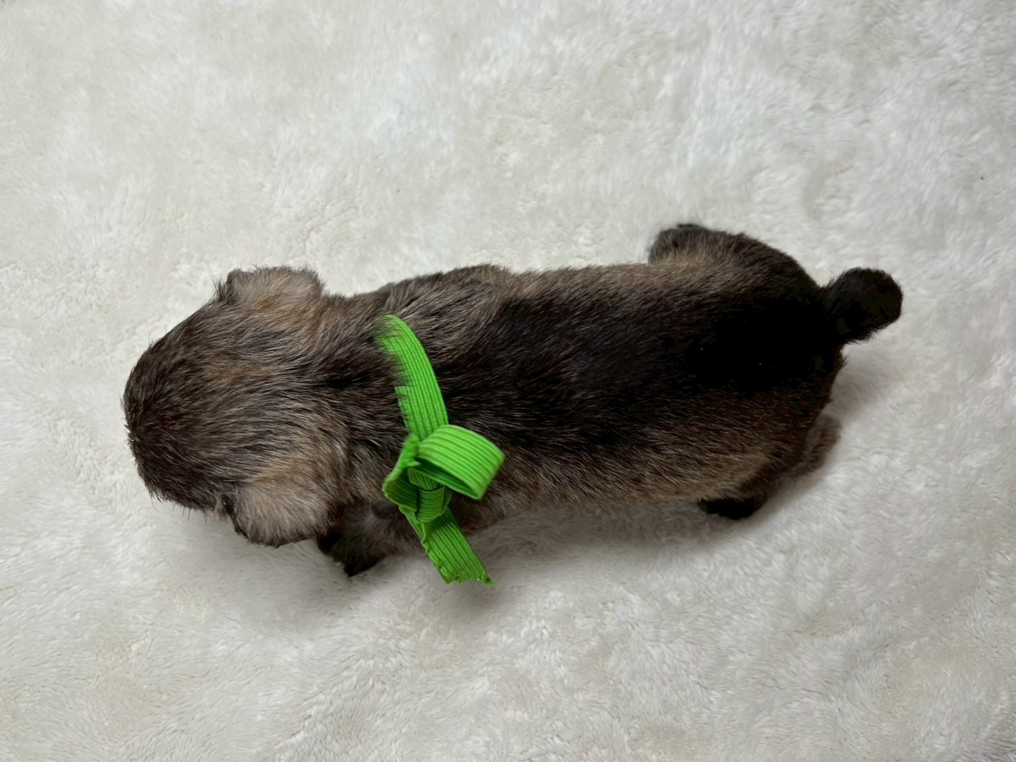 赤ちゃん写真2-3