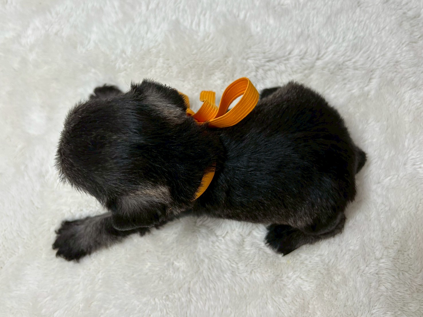 赤ちゃん写真2-3
