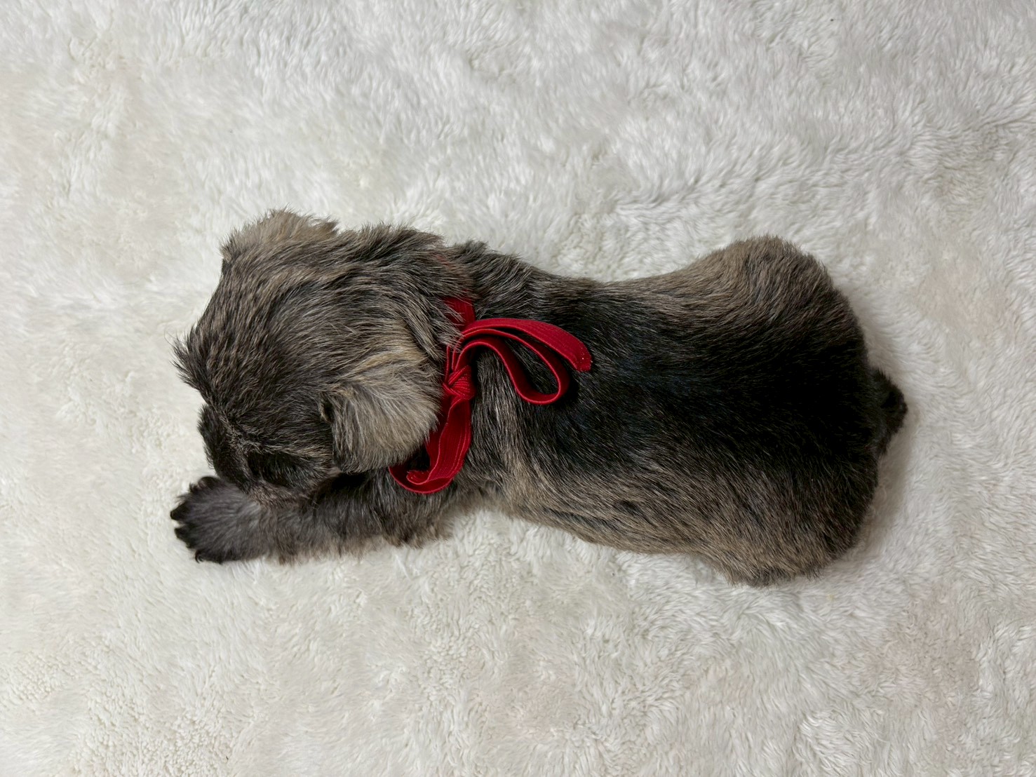 赤ちゃん写真2-3