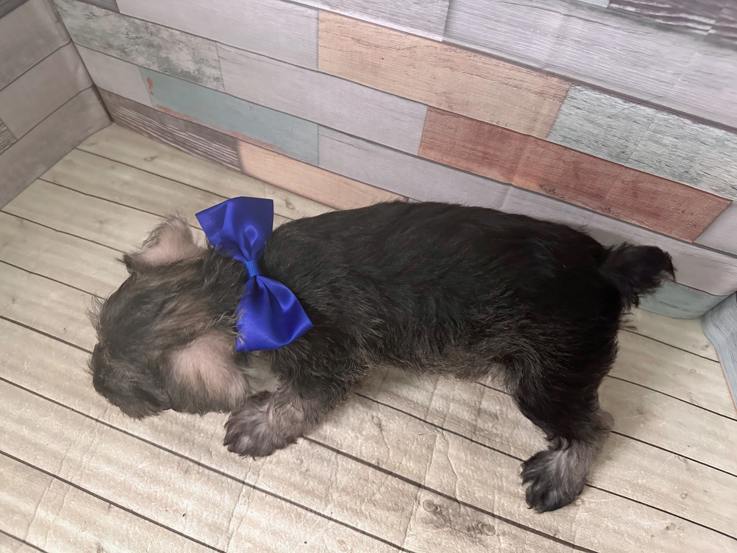 赤ちゃん写真3-3