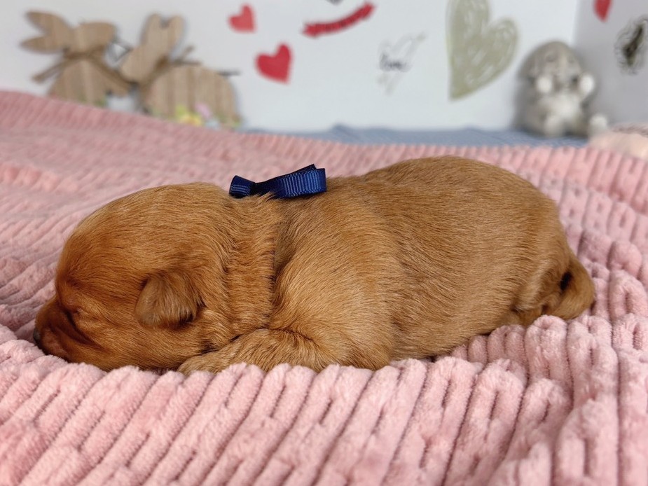 赤ちゃん写真1-2