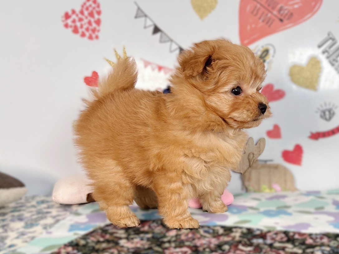 赤ちゃん写真2-2