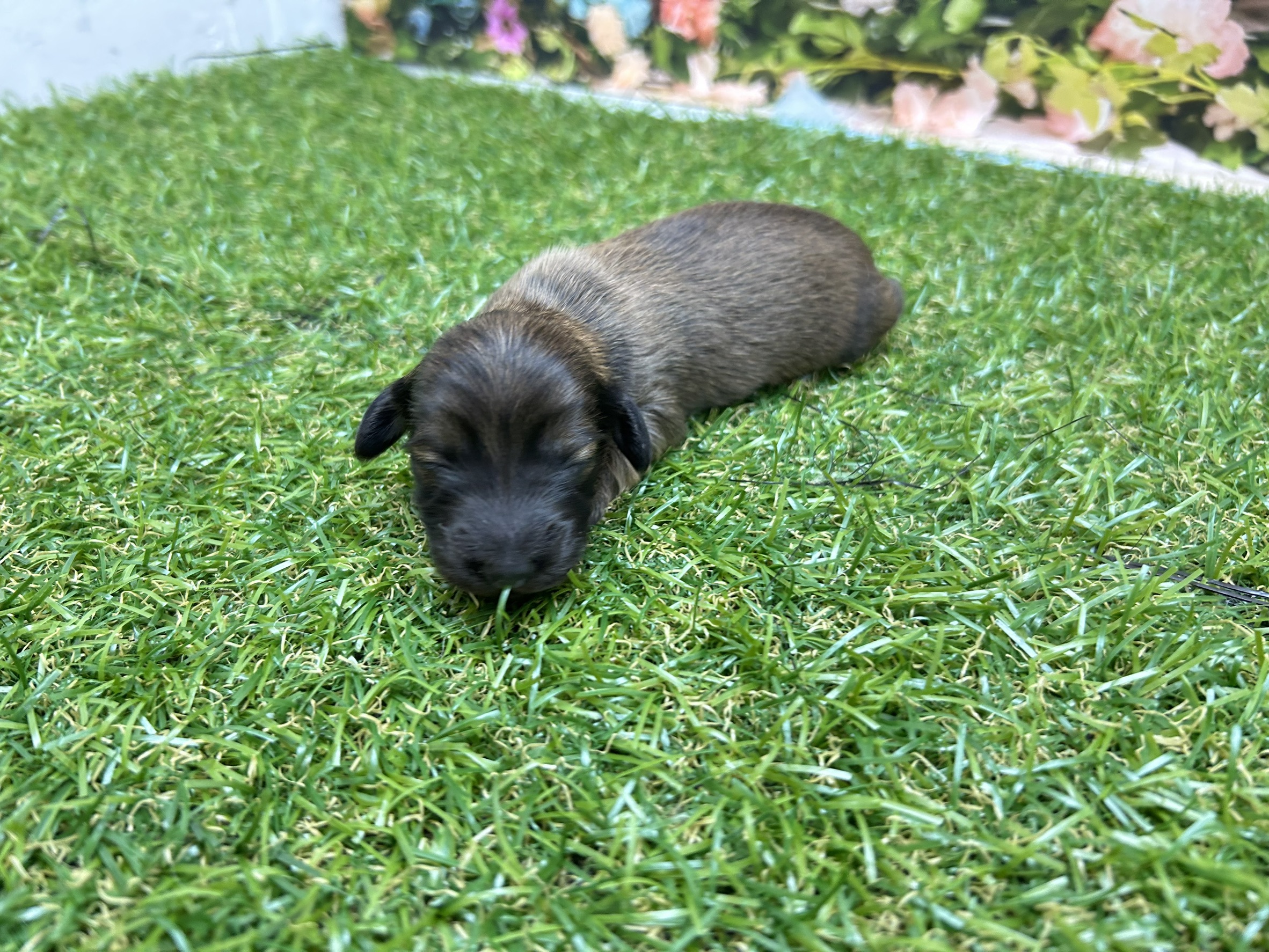 赤ちゃん写真1-1