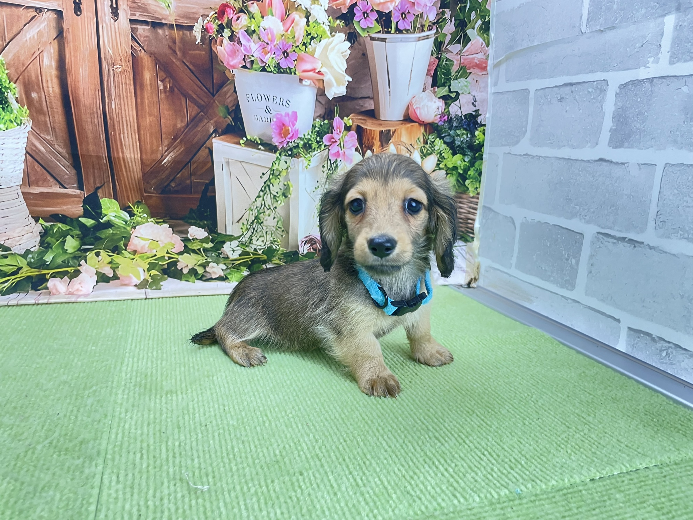 赤ちゃん写真3-2