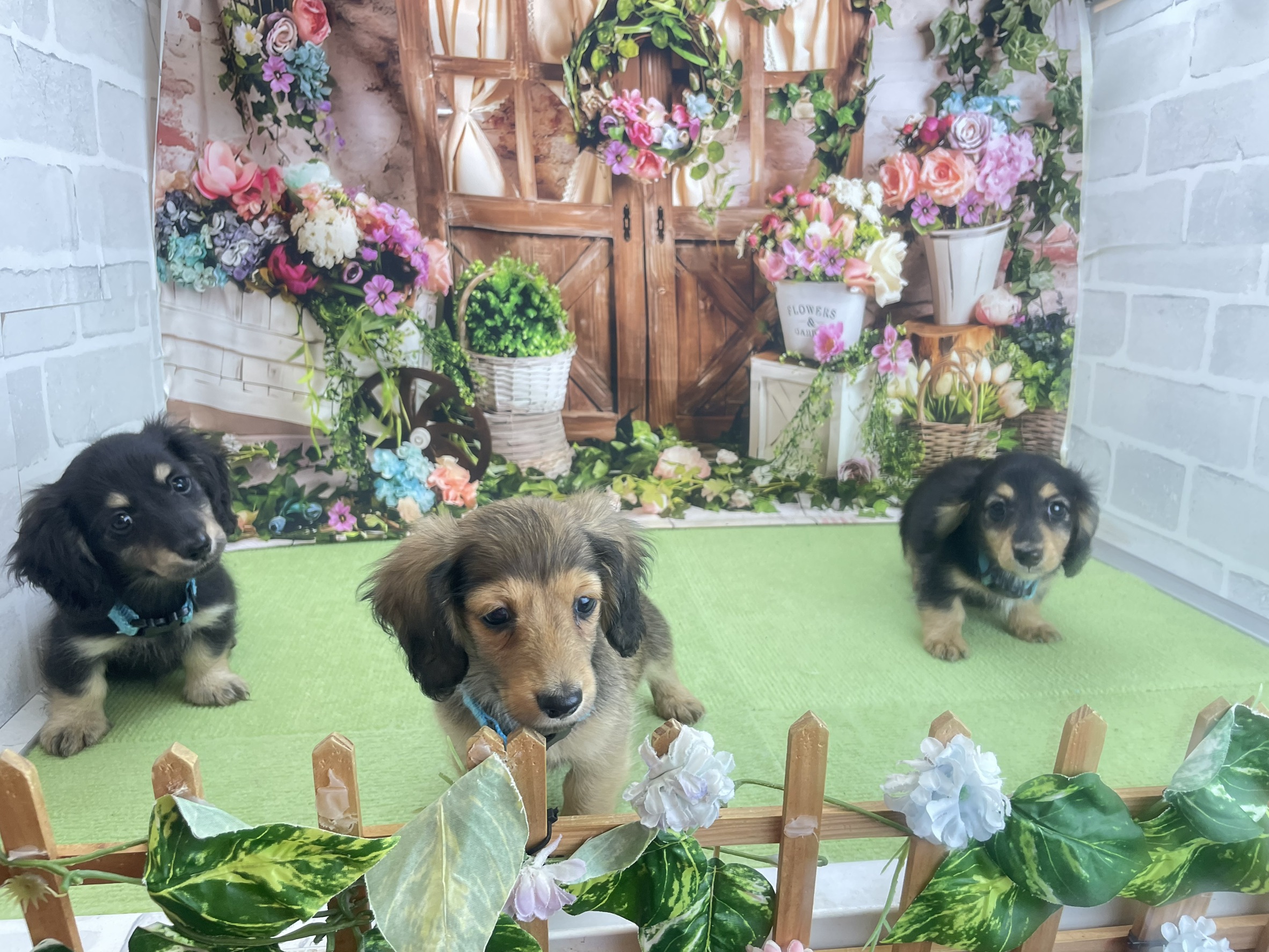 赤ちゃん写真3-3