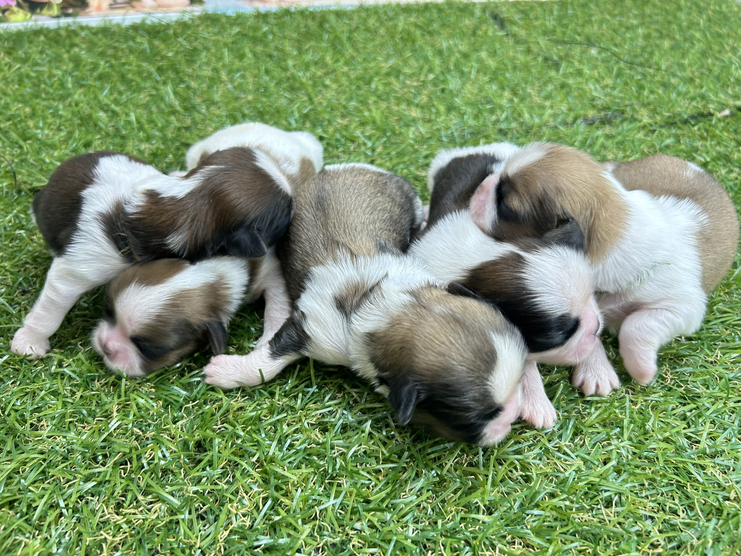 赤ちゃん写真1-3