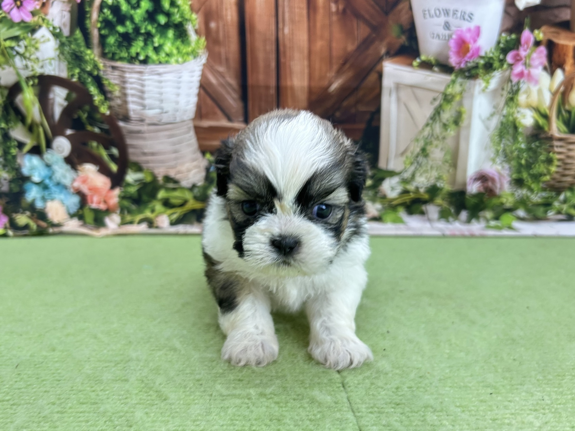 赤ちゃん写真2-1