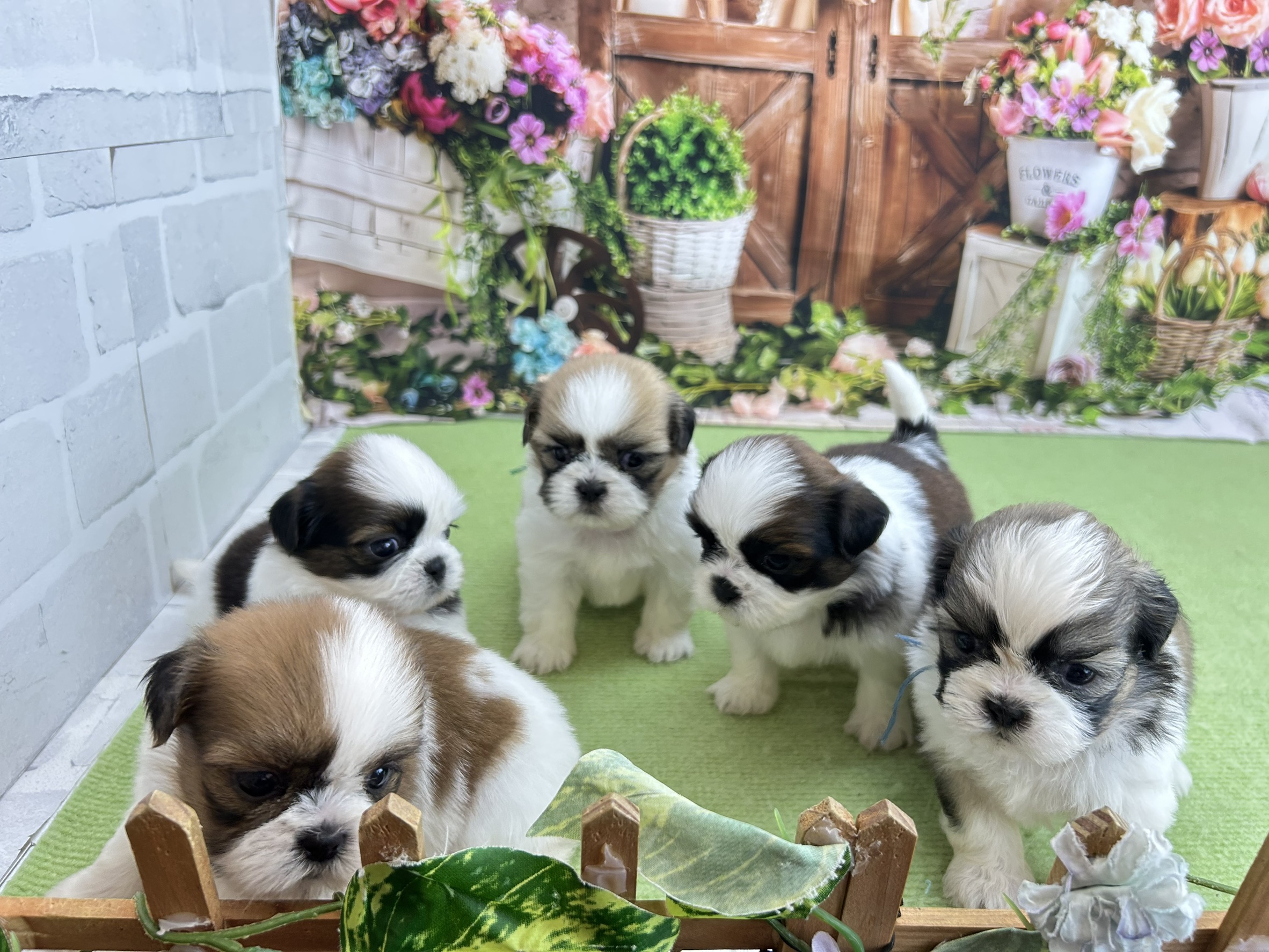 赤ちゃん写真2-3