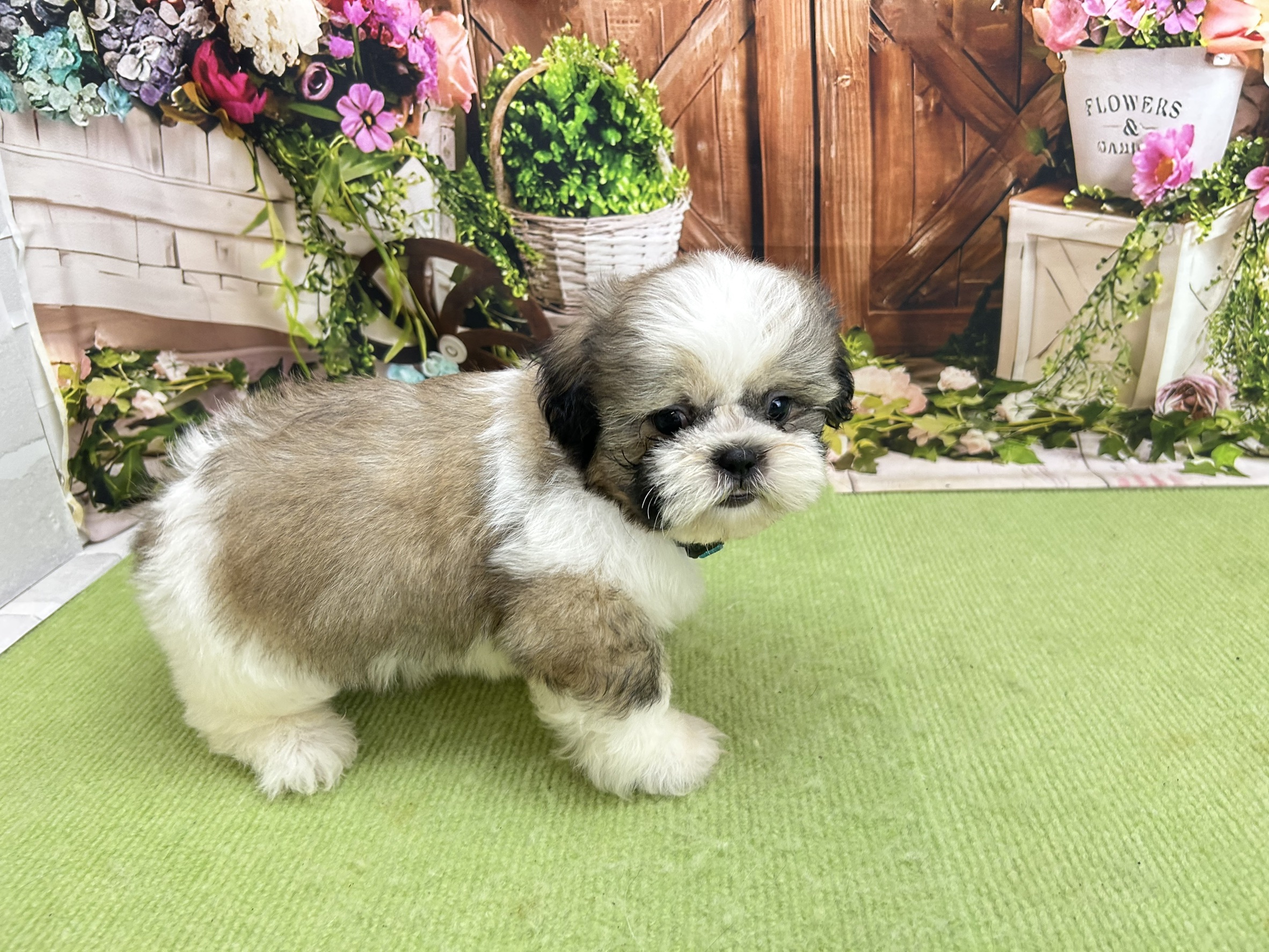 赤ちゃん写真3-2