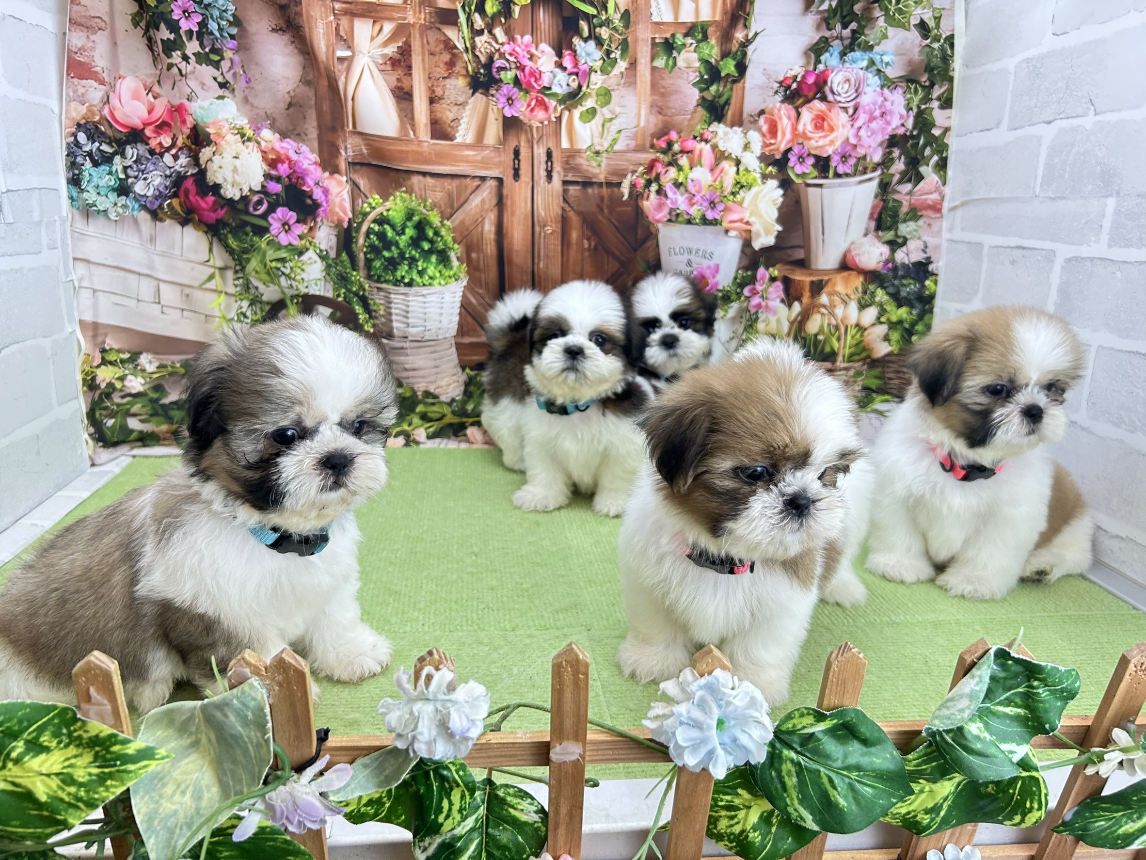 赤ちゃん写真3-3