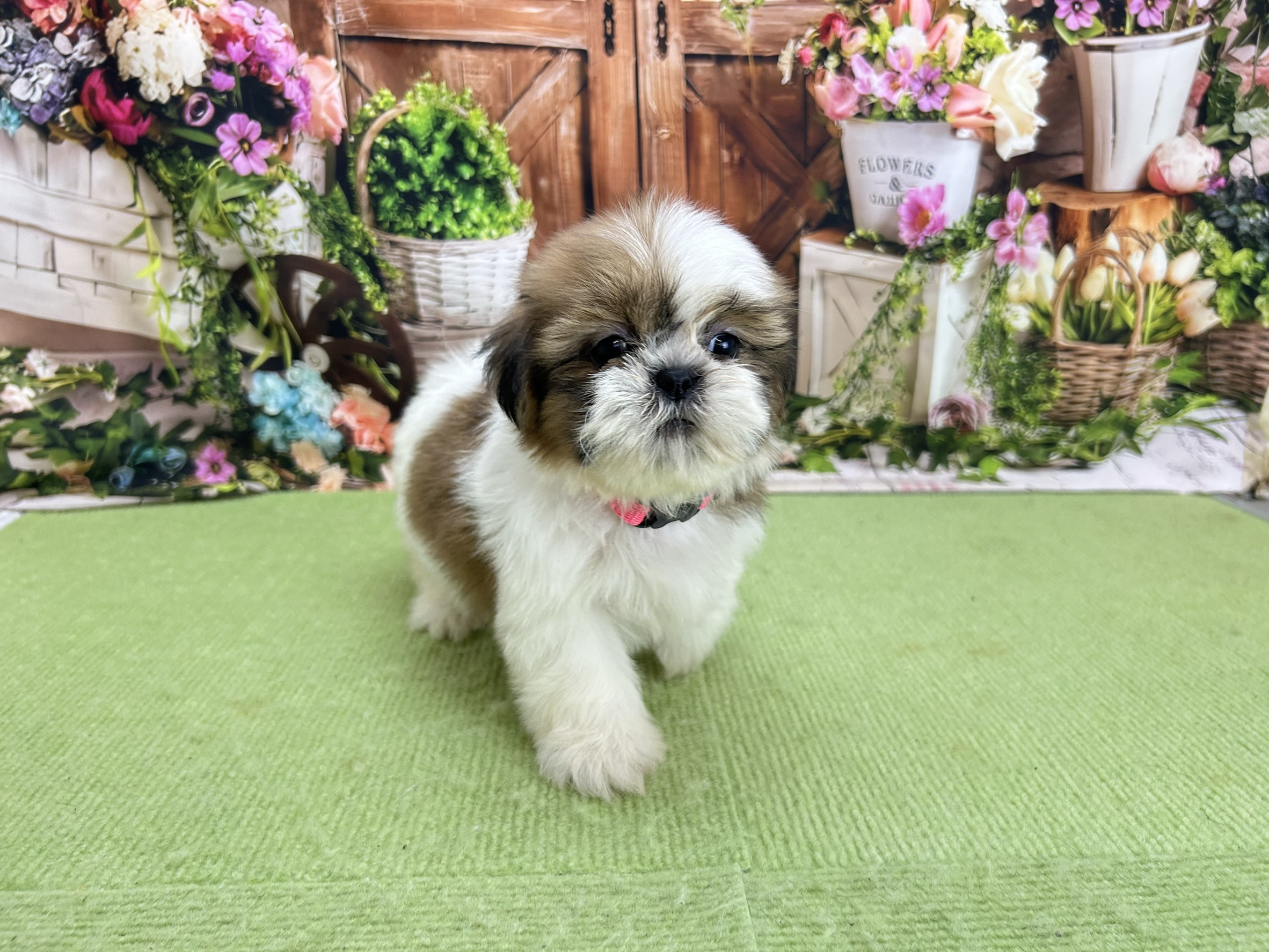 赤ちゃん写真3-1