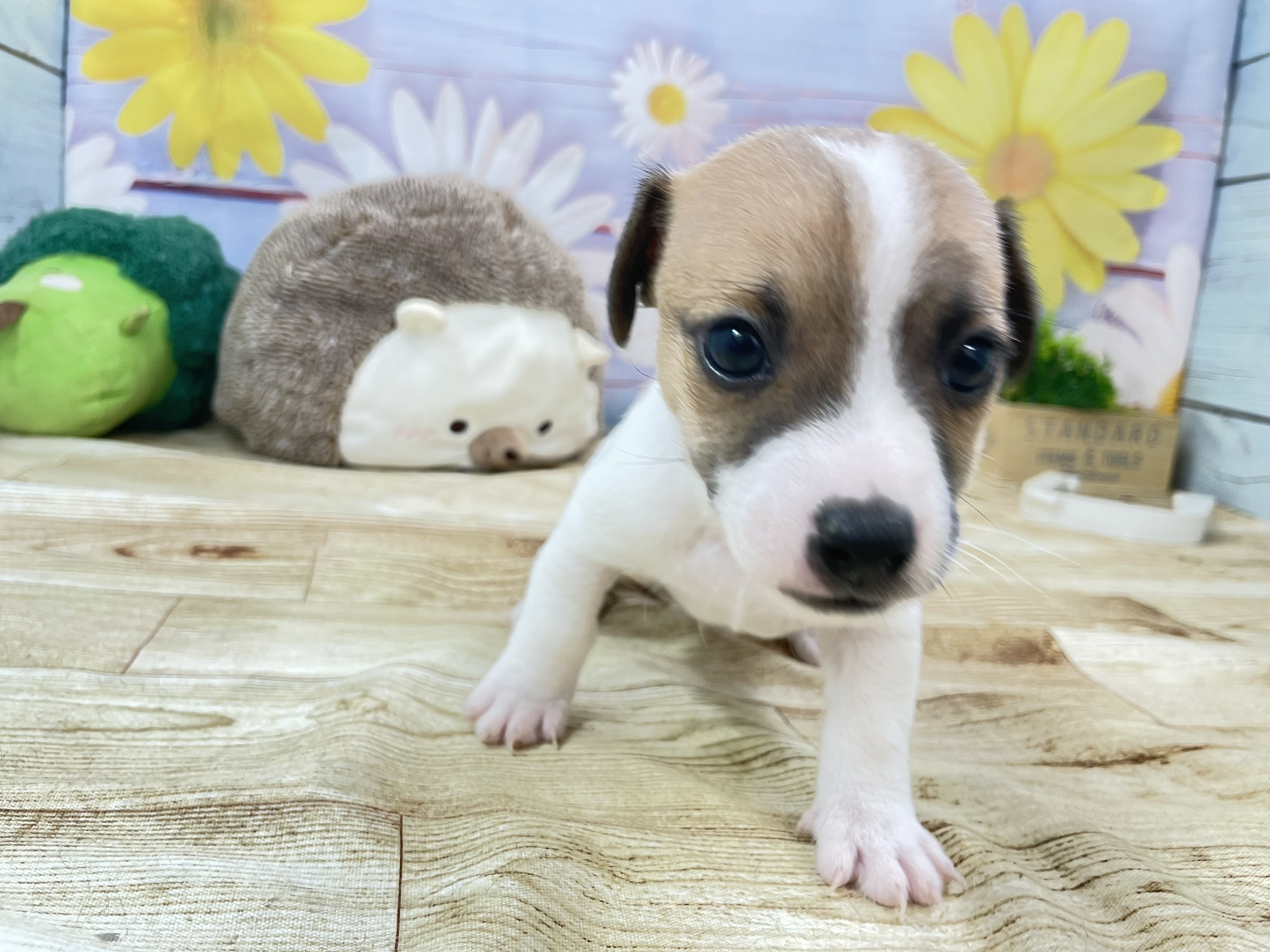 赤ちゃん写真2-1