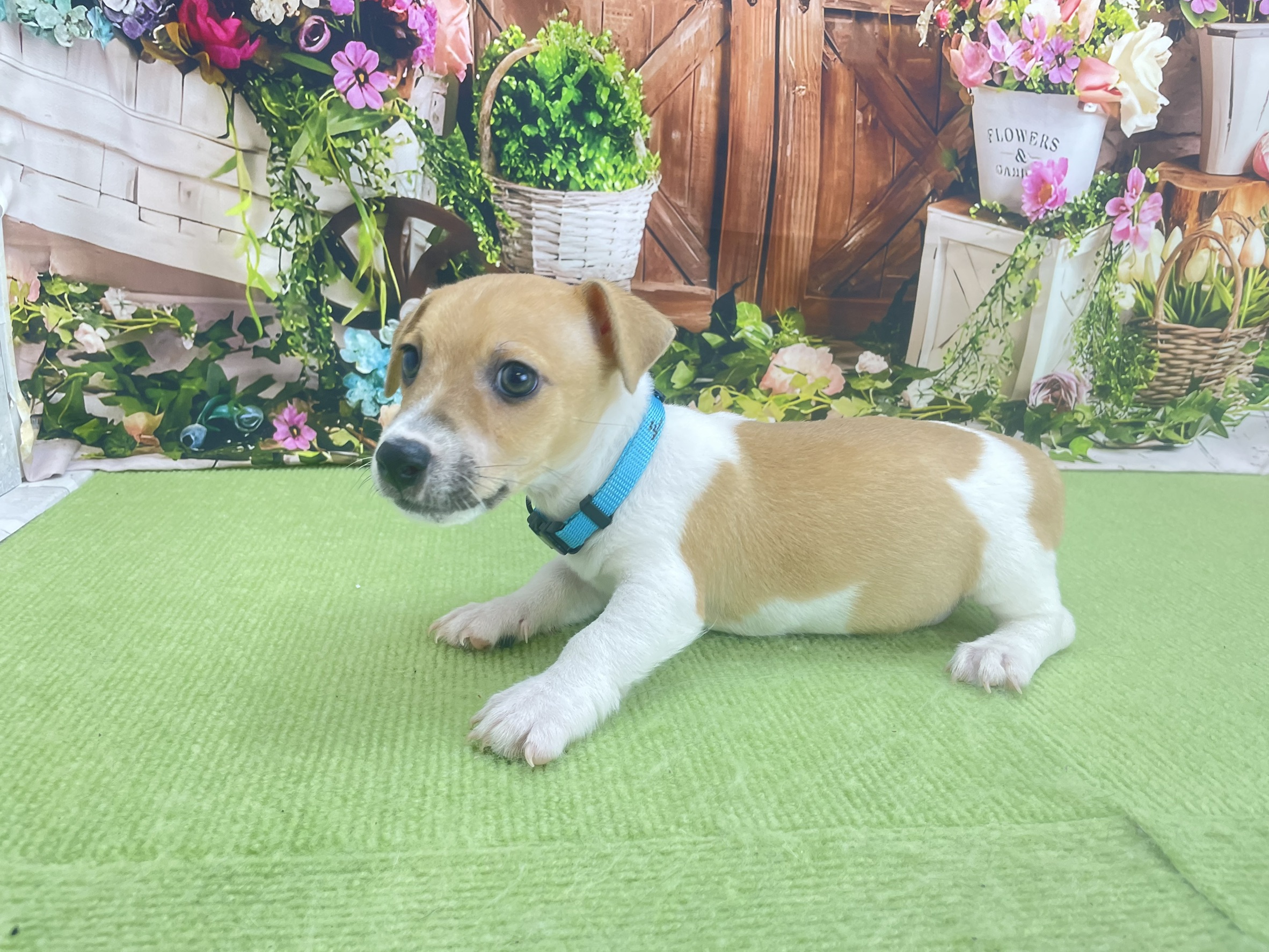 赤ちゃん写真3-2