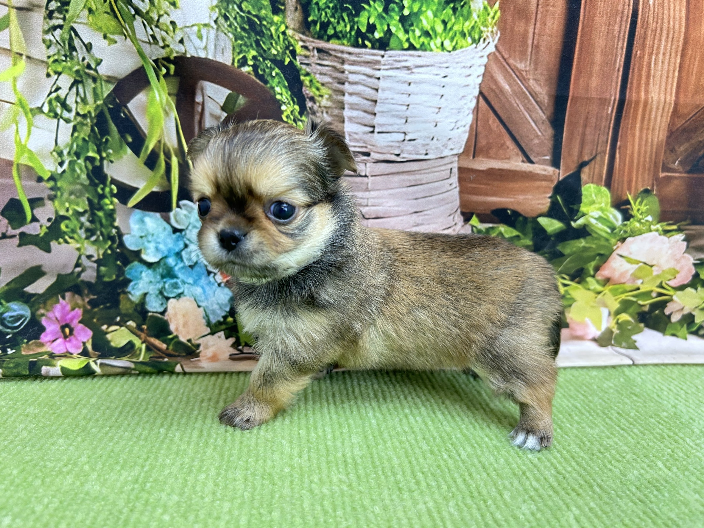 赤ちゃん写真2-2