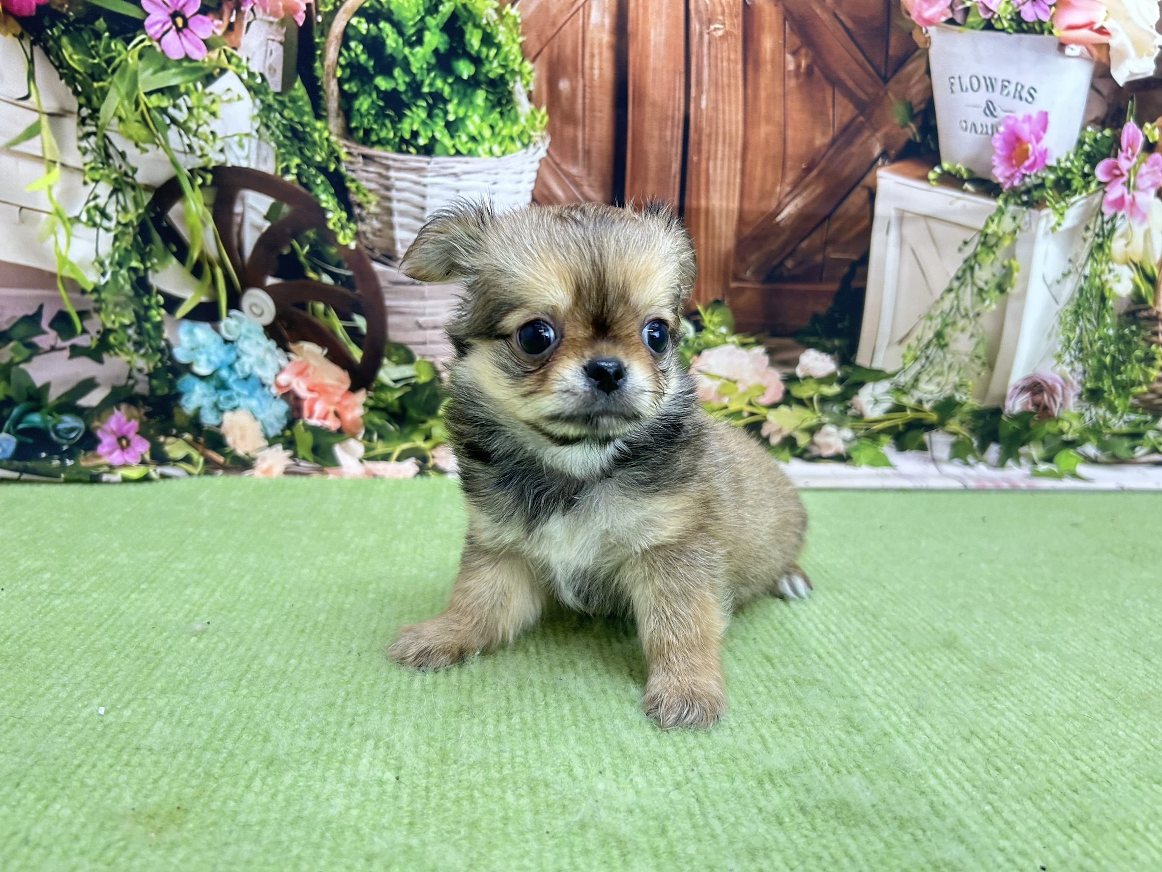赤ちゃん写真3-1