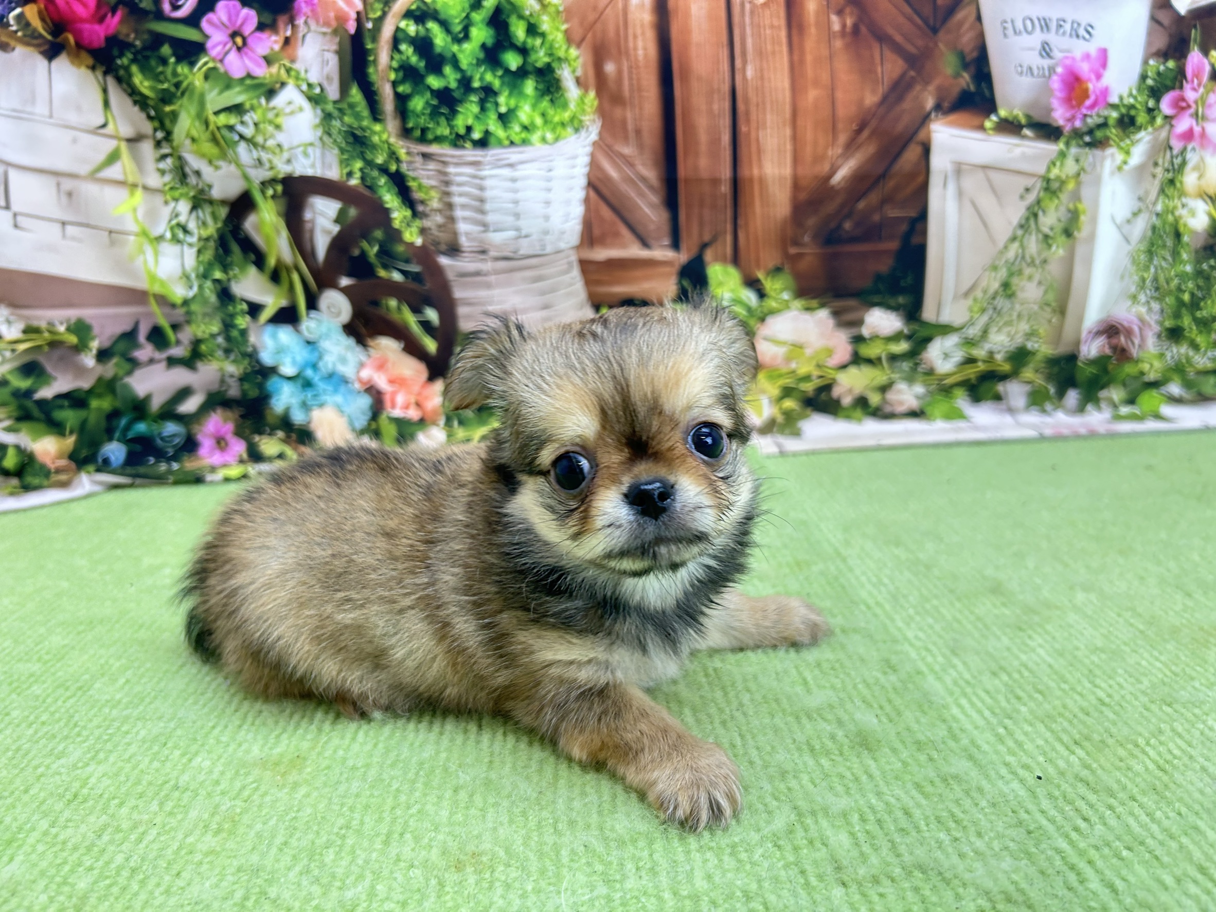赤ちゃん写真3-2