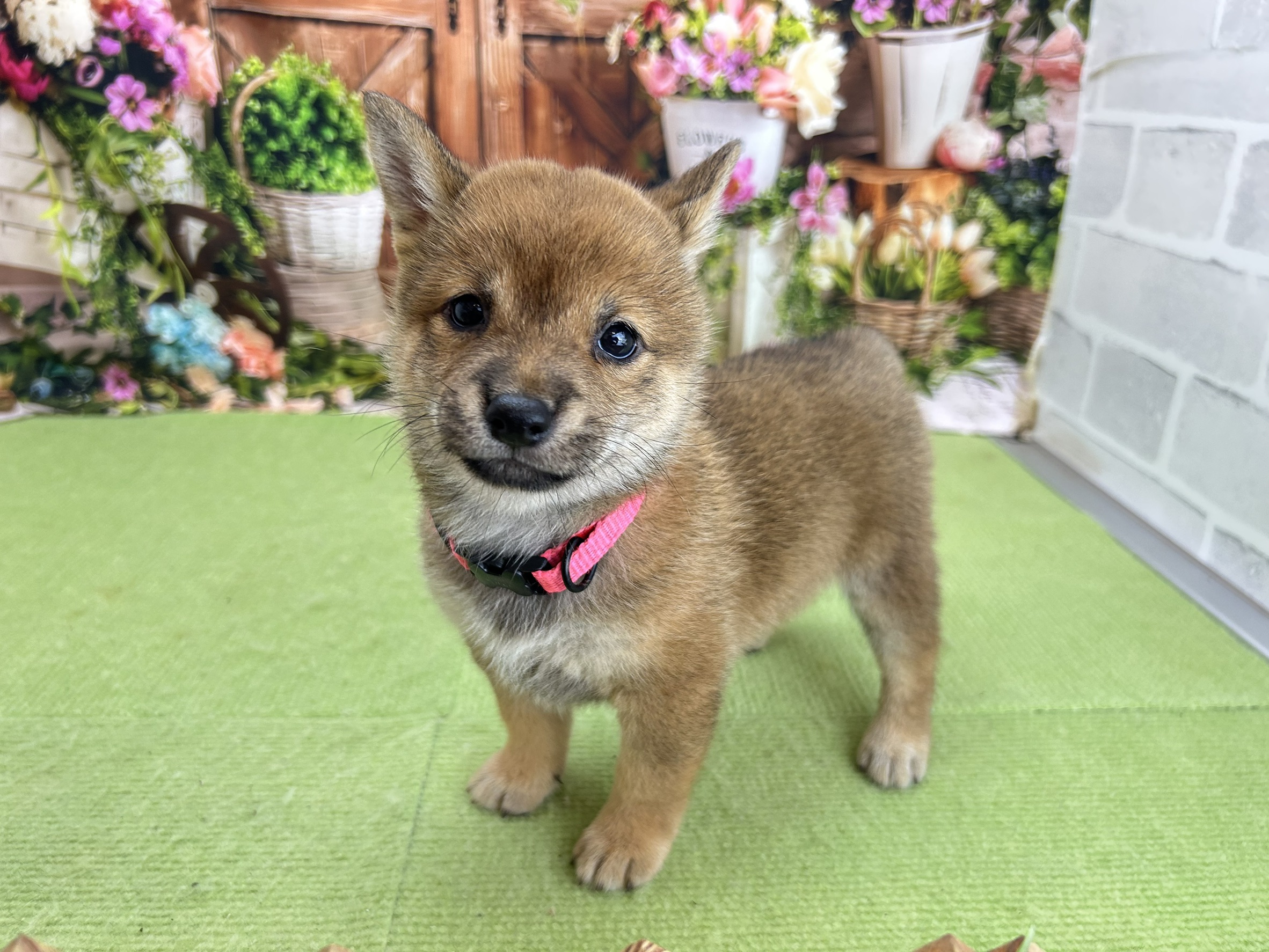 赤ちゃん写真3-2