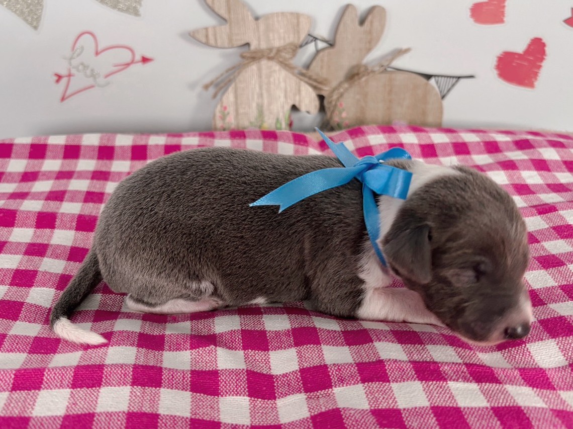 赤ちゃん写真1-2