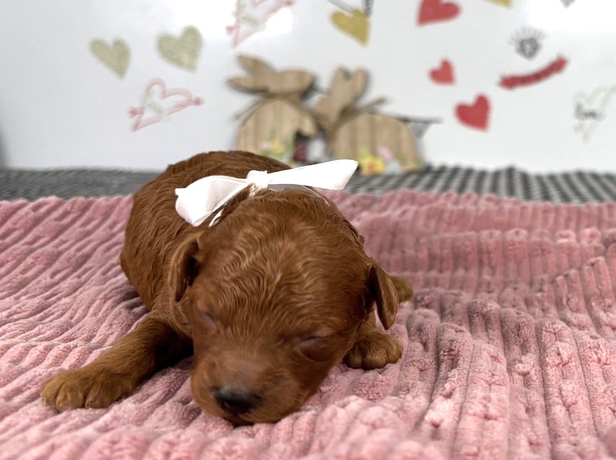赤ちゃん写真1-1