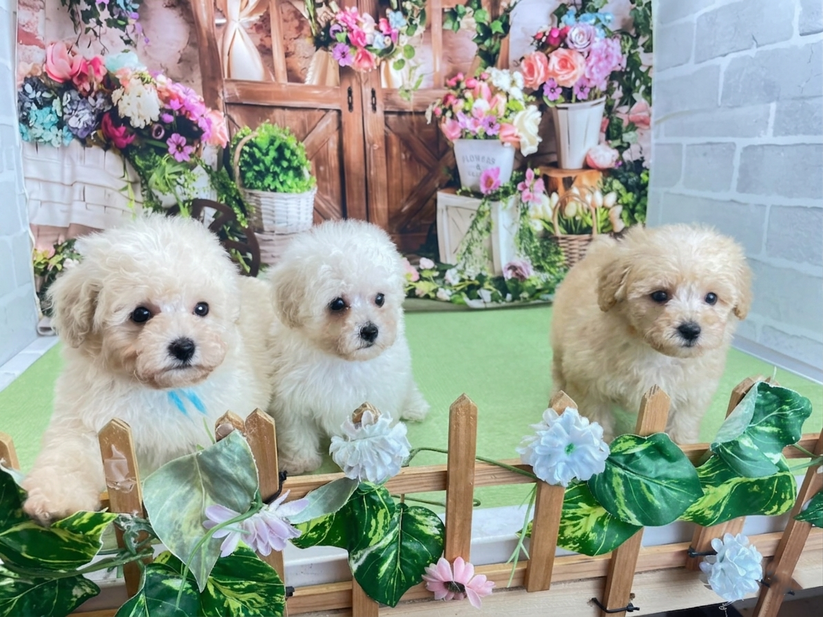 赤ちゃん写真3-3