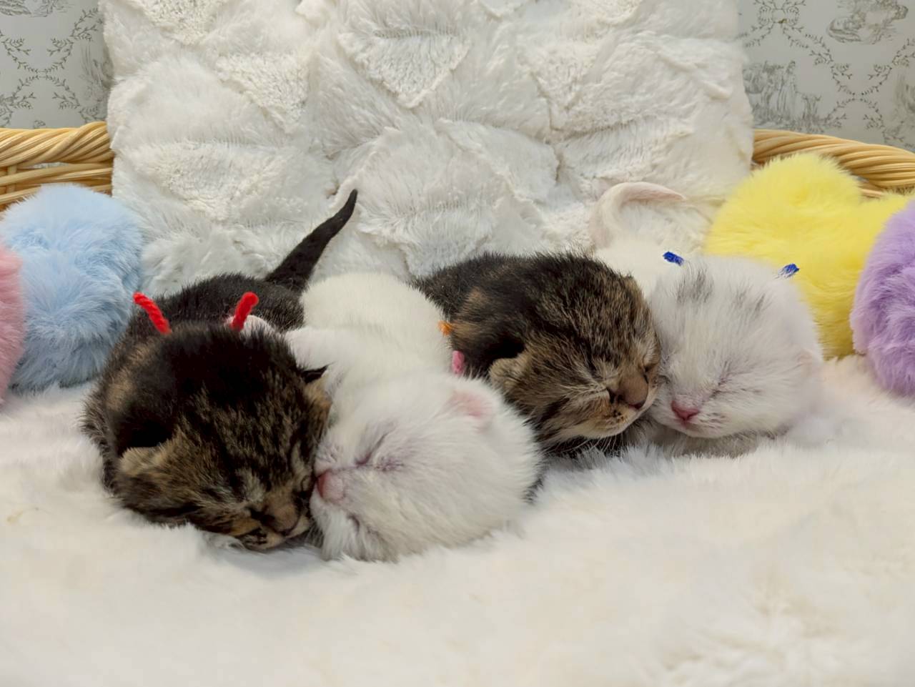 赤ちゃん写真1-3