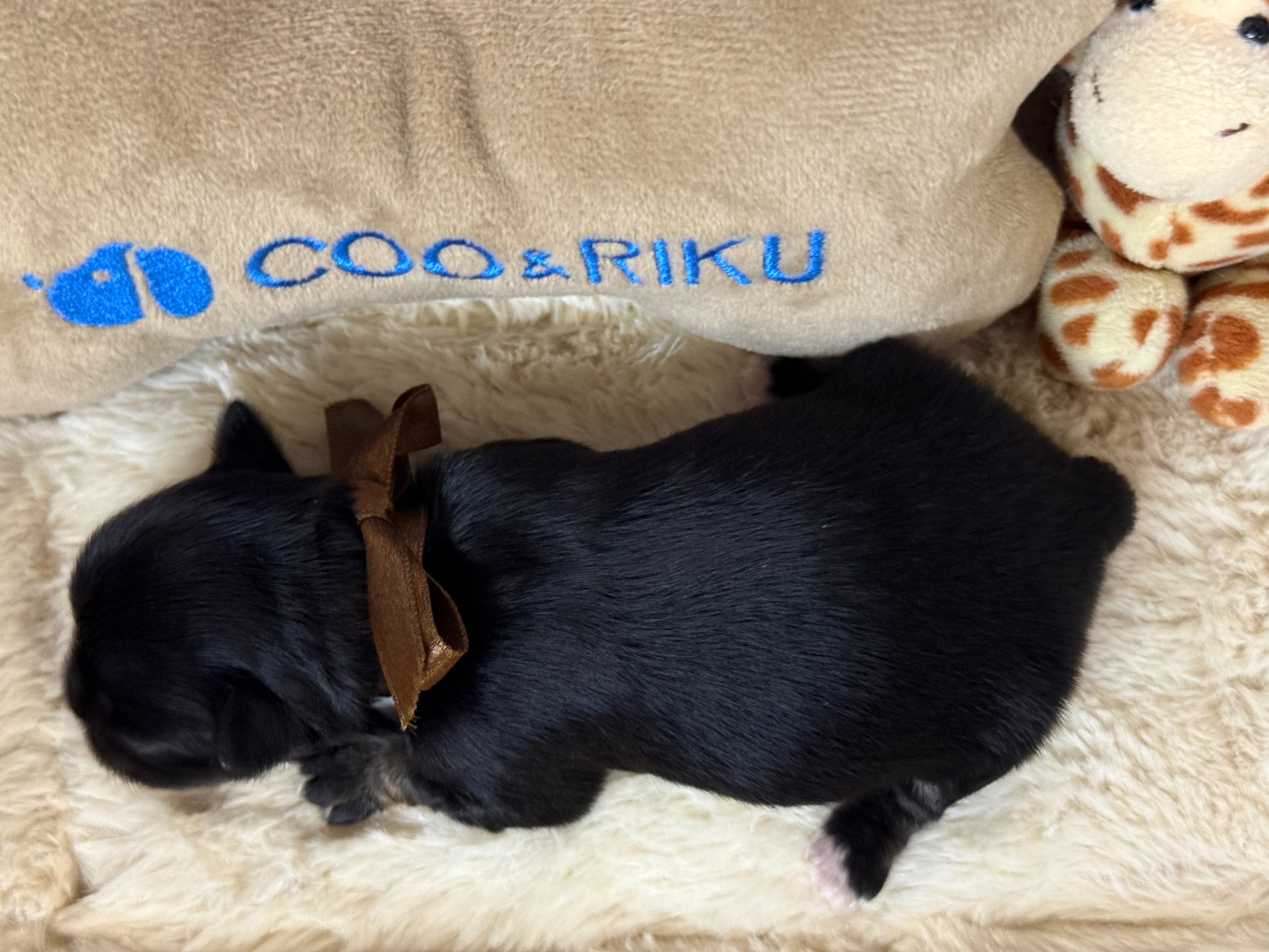 赤ちゃん写真1-3