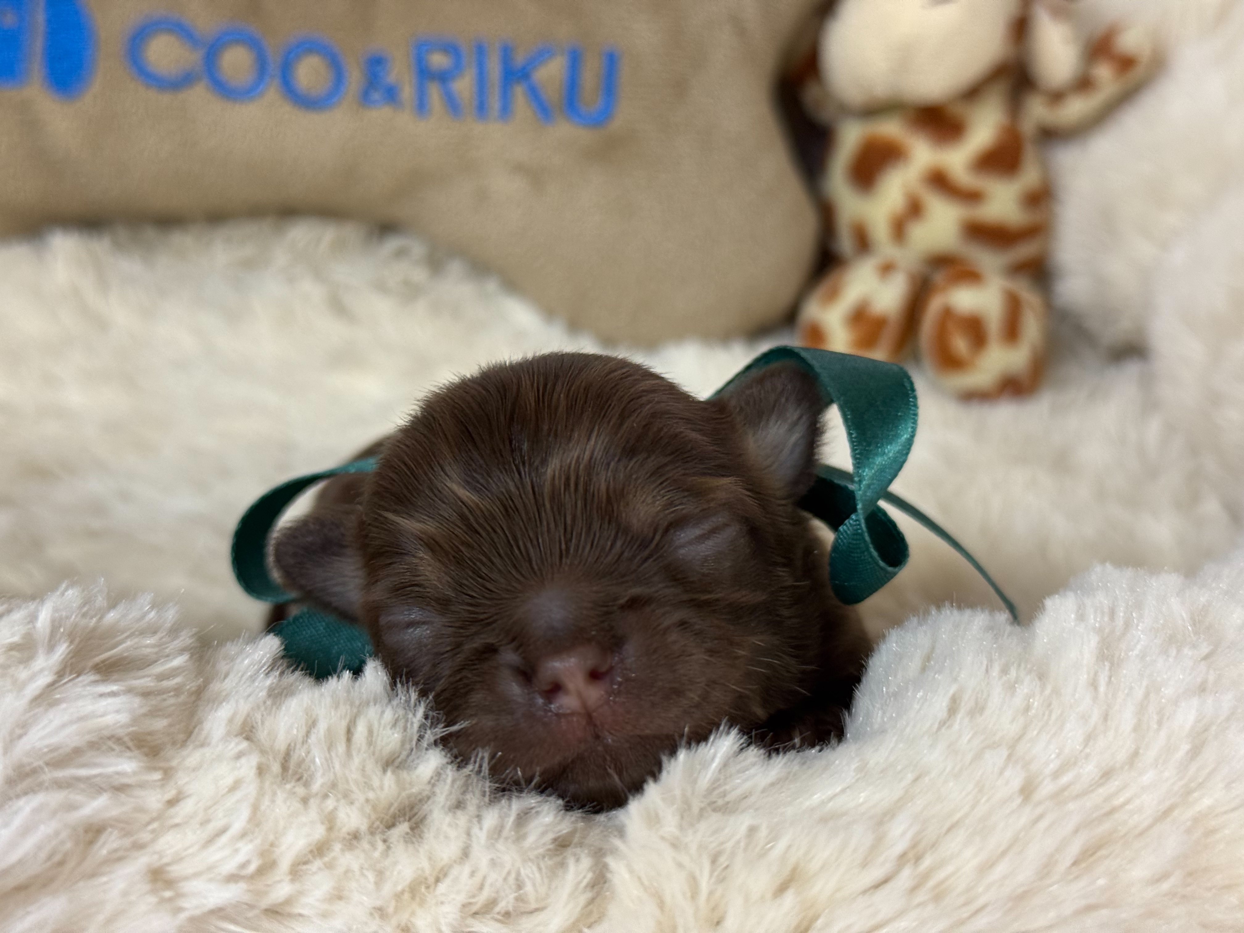 赤ちゃん写真1-1