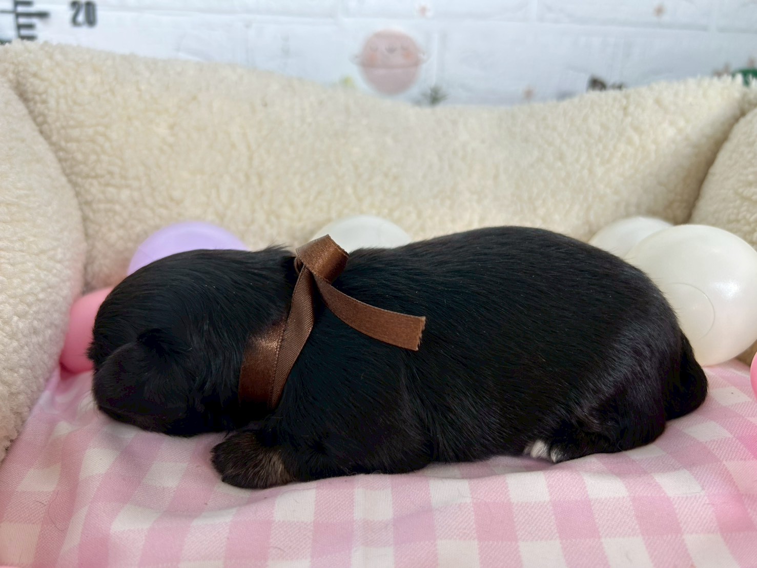 赤ちゃん写真2-2