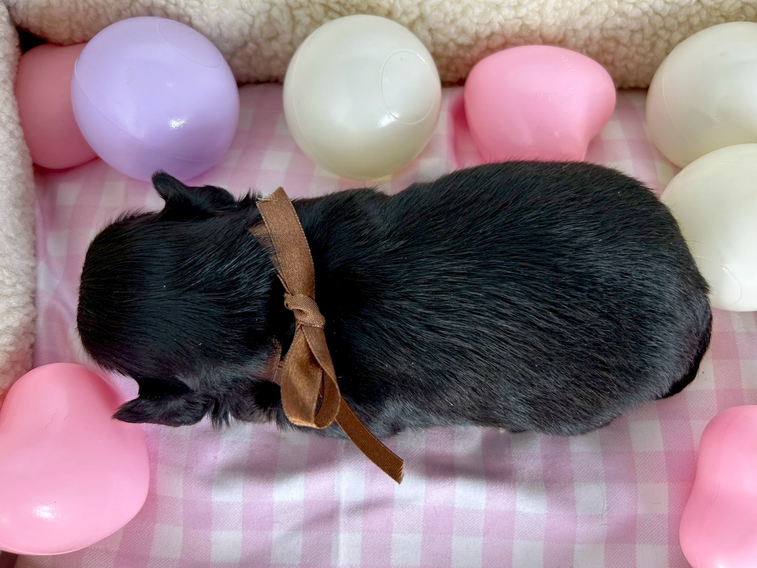 赤ちゃん写真2-3