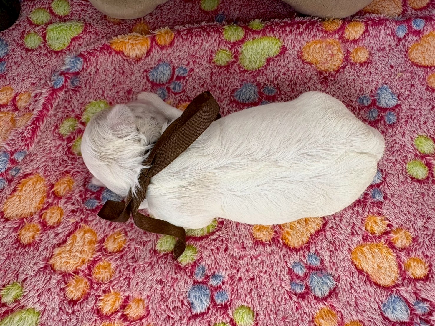 赤ちゃん写真1-3